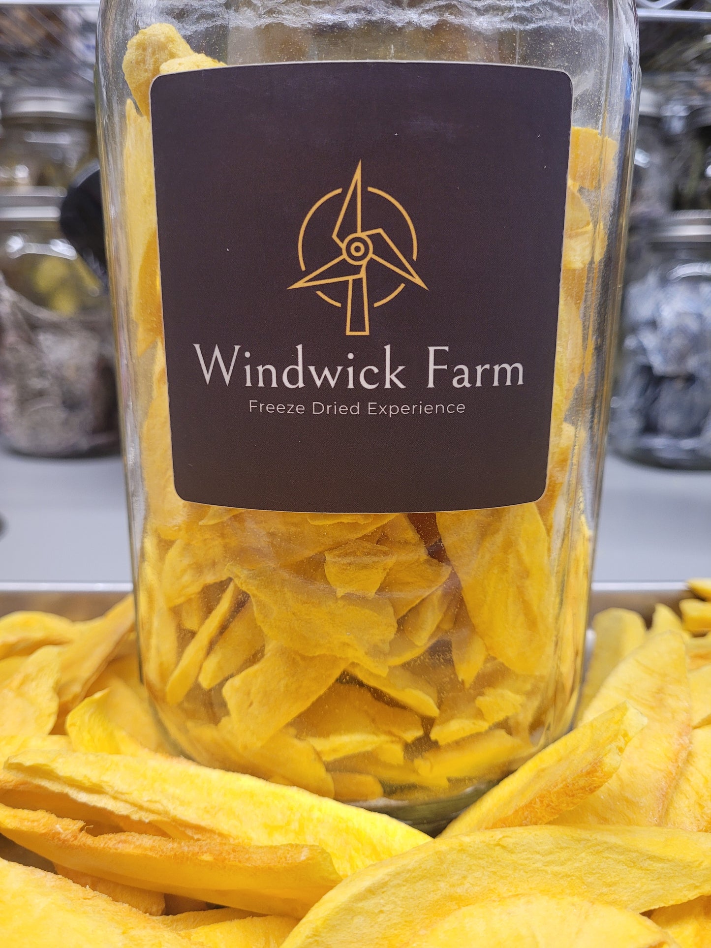 Freeze Dried Mango