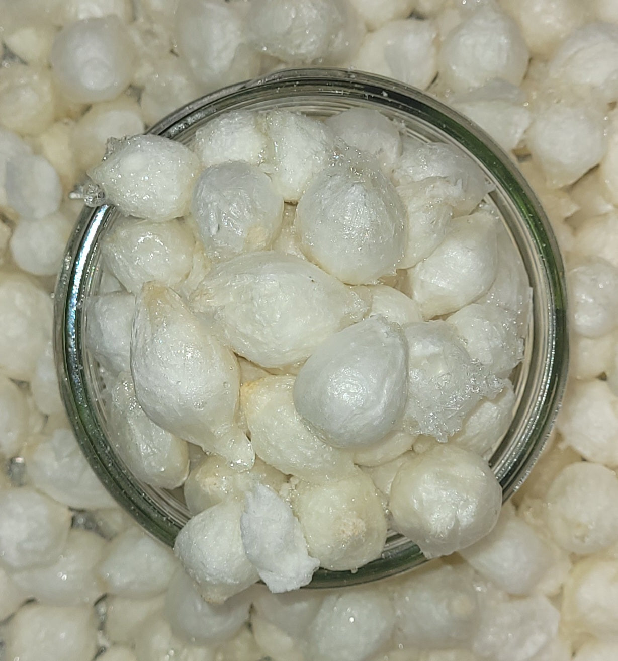 Freeze Dried Pickled Onions Sweet