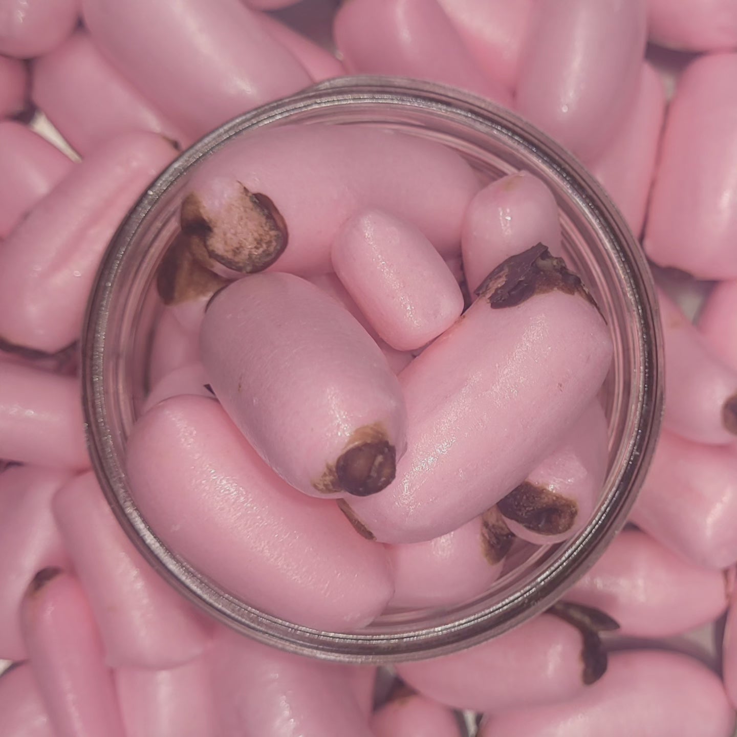 Freeze Dried Chicken Bones Candy