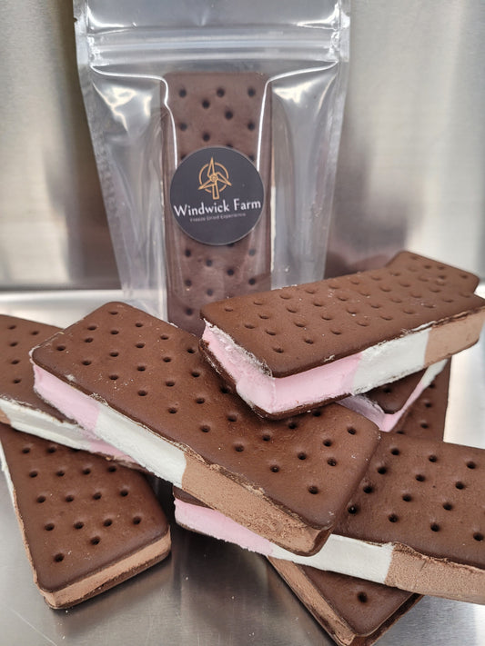 *Cannot be Shipped* Freeze Dried Vanilla Ice Cream Sandwich