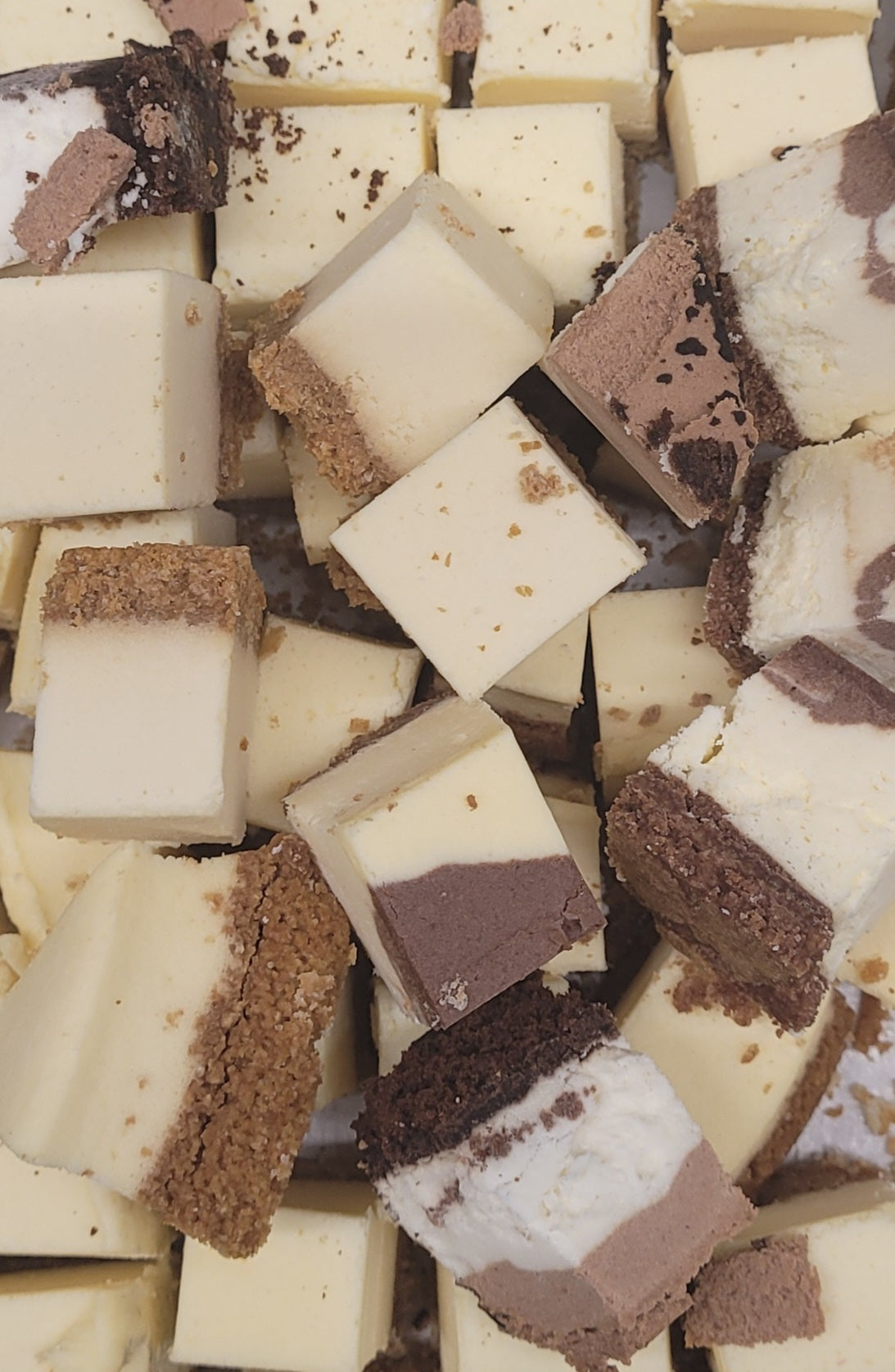 Freeze Dried Cheesecake Bites