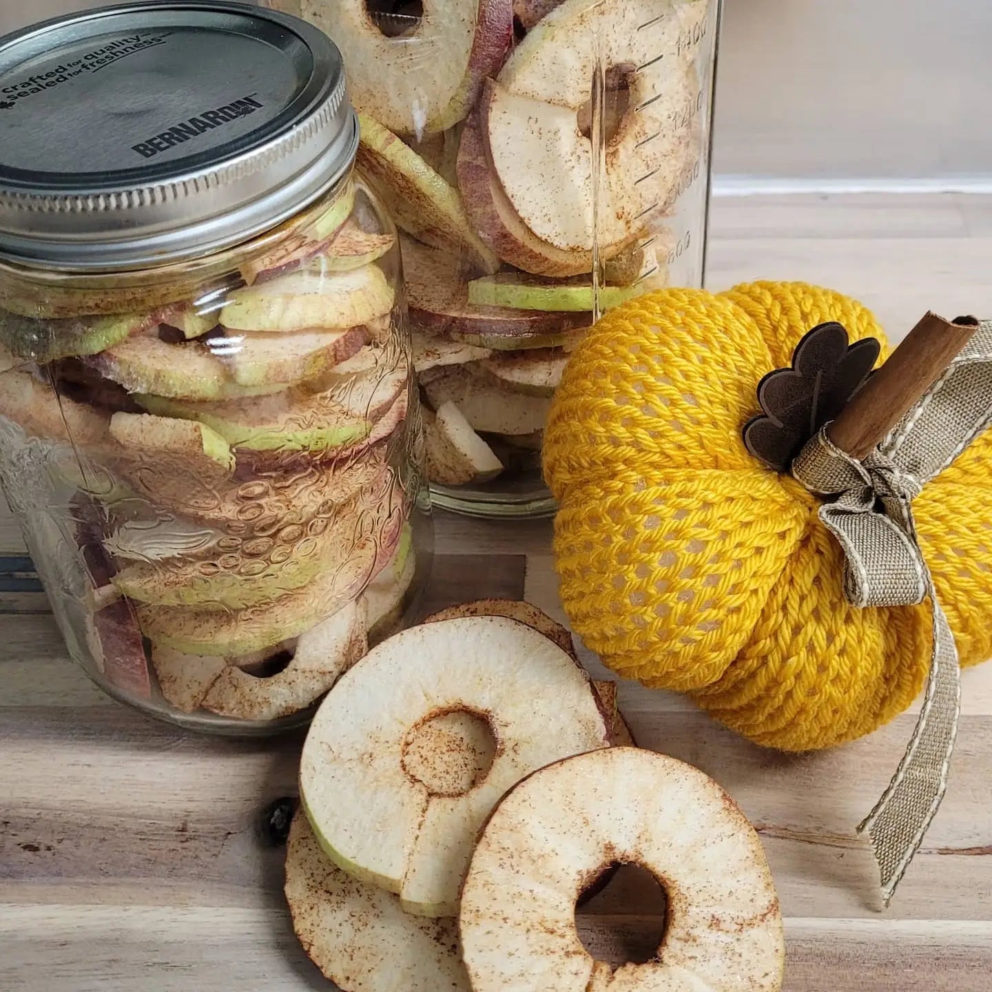 Freeze Dried Pumpkin Spiced Niagara Apples