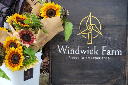Fresh Cut Sunflower Bouquets, Farm Pick Up in Fenwick & Local Niagara Delivery Only!