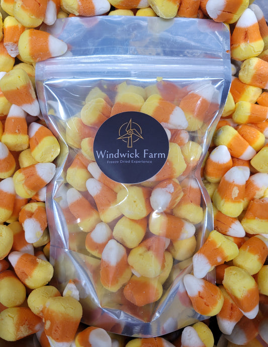 Freeze Dried Candy Corn Sampler only